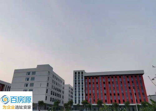 探访南宁最大电子信息产业园 十一科技项目驱动区域新升级