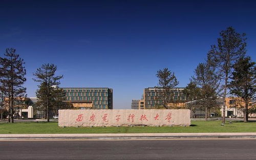 西电学子创新研发果蔬自助电子秤，图像识别技术引领智能结算新潮流