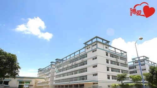 坦洲这家电子公司,为了让员工满意竟申报了……揭秘雇主品牌背后的温情逻辑